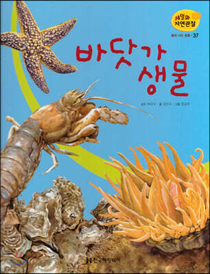 세밀화 자연관찰 37 바닷가 생물