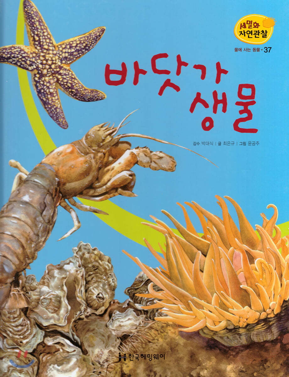 세밀화 자연관찰 37 바닷가 생물