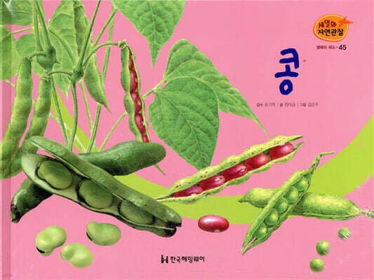 세밀화 자연관찰 45 콩