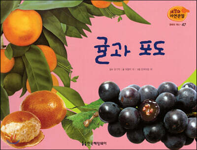 세밀화 자연관찰 47 귤과 포도
