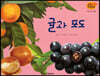 세밀화 자연관찰 47 귤과 포도