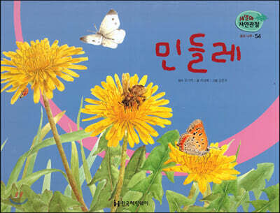 세밀화 자연관찰 54 민들레