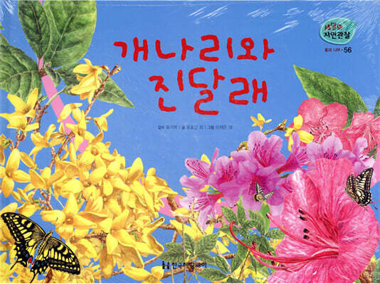 세밀화 자연관찰 56 개나리와 진달래