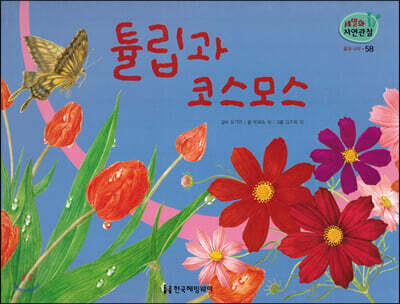 세밀화 자연관찰 58 튤립과 코스모스