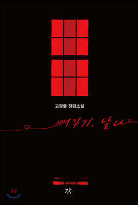 뻐꾸기, 날다