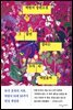 그 많던 싱아는 누가 다 먹었을까 (개정판)