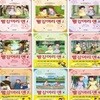 빨강머리 앤 애니만화 1-10번 시리즈 (전10권)