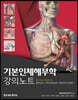 기본인체해부학 강의노트
