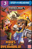 Mobs in the Overworld! (Minecraft)