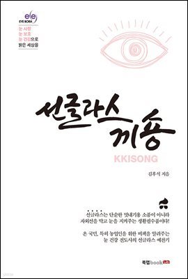 선글라스 끼숑(KKISONG)