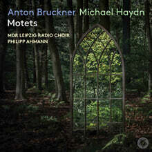 Philipp Ahmann 브루크너 / 미하엘 하이든: 모테트 작품집 (Anton Bruckner / Michael Haydn: Motets)