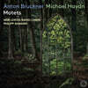 Philipp Ahmann 브루크너 / 미하엘 하이든: 모테트 작품집 (Anton Bruckner / Michael Haydn: Motets)