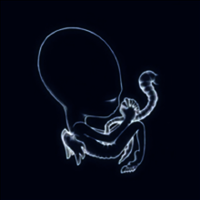 Sigur Ros - Agaetis Byrjun (2LP)