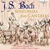 Ensemble Cordia 바흐: 칸타타에서 발췌한 신포니아 모음 (J.S. Bach: Sinfonias from Cantatas)