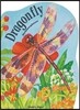 Metamorphoses: Giant Dragonfly