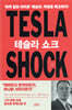 테슬라 쇼크