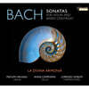 La Divina Armonia 바흐: 바이올린 소나타 (J.S.Bach: Sonatas for Violin and Basso Continuo BWV 1021-1024)