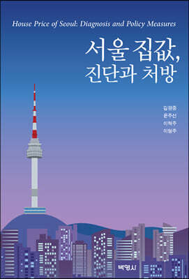 서울 집값, 진단과 처방