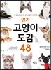 인기 고양이 도감 48