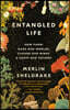 Entangled Life: How Fungi Make Our Worlds, Change Our Minds & Shape Our Futures