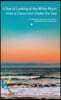 A Boy Is Looking at the White Moon from a Classroom Under the Sea