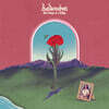 Bedouine (베두인) - 2집 Bird Songs of a Killjoy [LP]