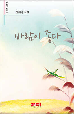 바람이 좋다 - 시음사 시선 300