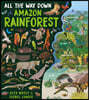 All the Way Down: Amazon Rainforest