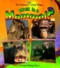 What Is a Mammal?