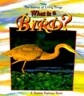 What Is a Bird?