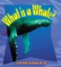 What Is a Whale?