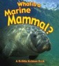 What Is a Marine Mammal?