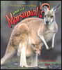 What Is a Marsupial?