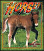 What Is A Horse?