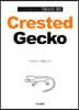 QnA로 알아보는 크레스티드 게코 Crested Gecko