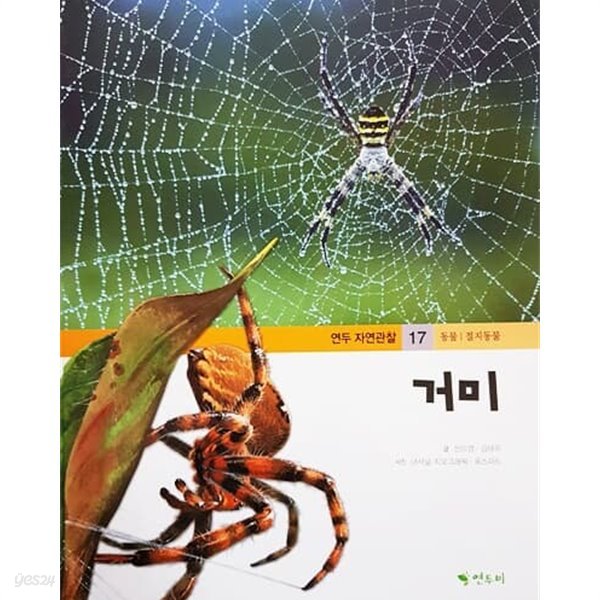 거미 - 연두 자연관찰 17