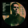 Liam Gallagher - Why Me? Why Not. (Ltd. Ed)(Picture Disc)(LP)