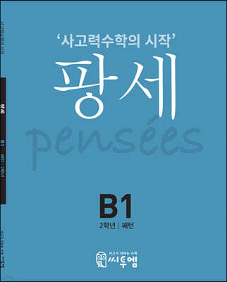 팡세 B-1 패턴