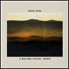 Wild Pink - A Billion Little Lights (LP)