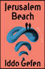 Jerusalem Beach: Stories