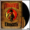 Lynyrd Skynyrd - Live At Knebworth '76 (2LP+DVD)