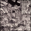 Women - Rarities 2007 - 2010 (Indie Exclusive)(LP)