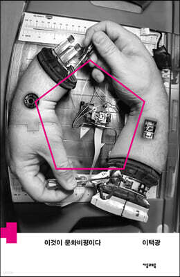 이것이 문화비평이다