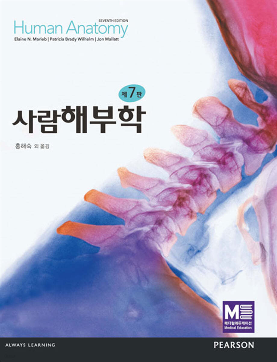 사람해부학