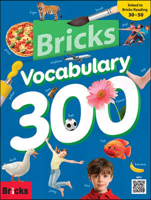 Bricks Vocabulary 300