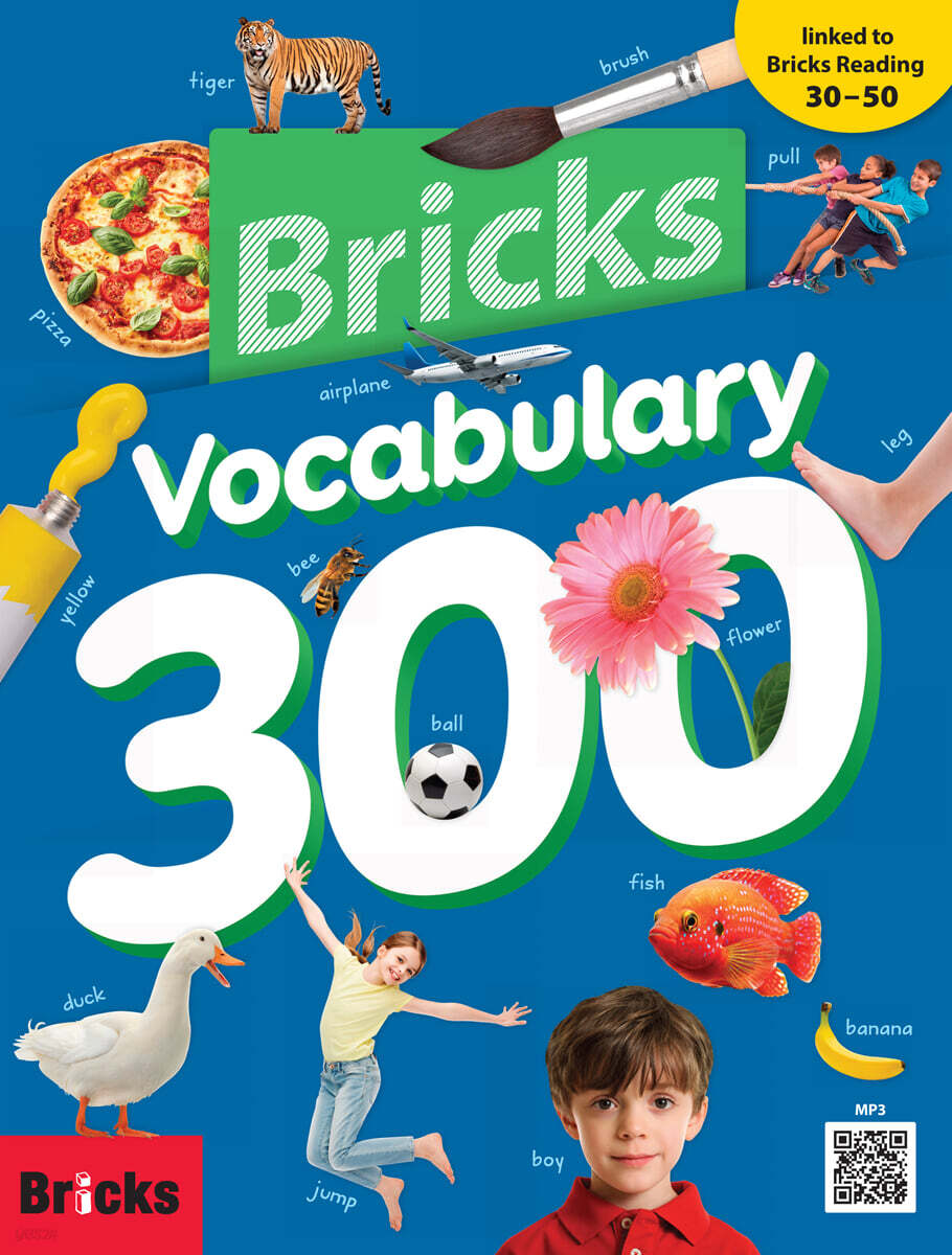 Bricks Vocabulary 300