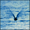 Ryo Fukui - Mellow Dream (LP)(일본반)