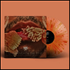 Toro Y Moi - Underneath The Pine (Ltd)Desert Sun Splatter Colored LP)Underneath The Pine (Ltd)Desert Sun Splatter Colored LP)