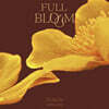 펀치 (Punch) - 미니앨범 2집 : Full Bloom (만개)
