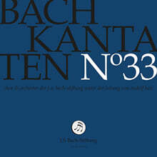 Rudolf Lutz 바흐: 칸타타 33집 (Bach: Kantaten No.33 - Cantatas BWV102, BWV228, BWV69a)